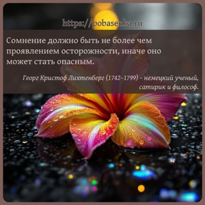 Сомнение должно быть не более чем проявлением осторожности, иначе оно...