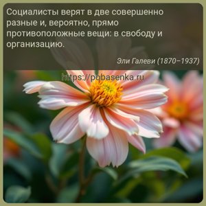 Социалисты верят в две совершенно разные и, вероятно, прямо...