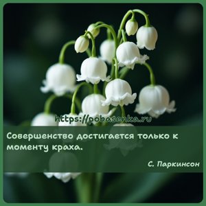 Совершенство достигается только к моменту краха.
