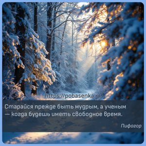 Старайся прежде быть мудрым, а ученым когда будешь иметь свободное время.