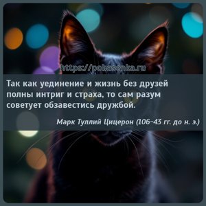 Так как уединение и жизнь без друзей полны интриг и страха, то сам разум...