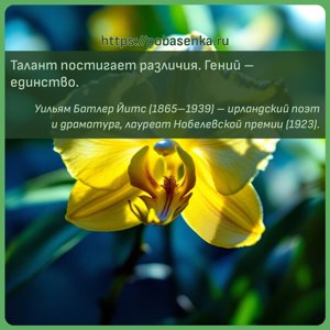 Талант постигает различия. Гений единство.