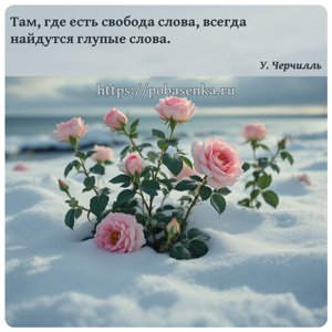 Там, где есть свобода слова, всегда найдутся глупые слова.