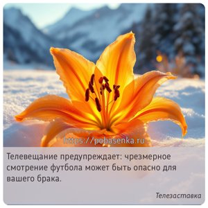 Телевещание предупреждает чрезмерное смотрение футбола может быть опасно...