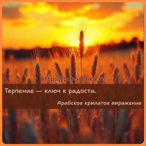Терпение ключ к радости.