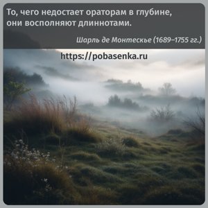 То, чего недостает ораторам в глубине, они восполняют длиннотами.
