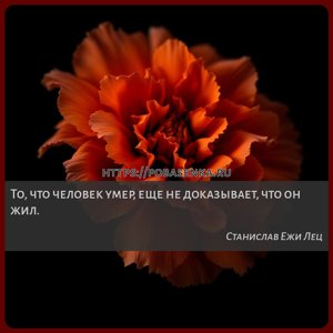 То, что человек умер, еще не доказывает, что он жил.