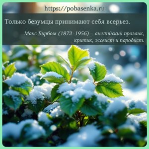 Только безумцы принимают себя всерьез.