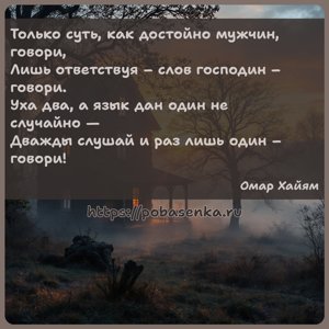 Только суть, как достойно мужчин, говори, Лишь ответствуя слов господин...