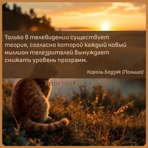 Только в телевидении существует теория, согласно которой каждый новый...