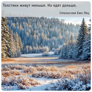 Толстяки живут меньше. Но едят дольше.