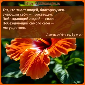 Тот, кто знает людей, благоразумен. Знающий себя просвещен. Побеждающий...