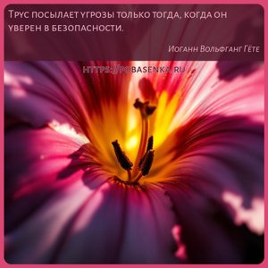 Трус посылает угрозы только тогда, когда он уверен в безопасности.