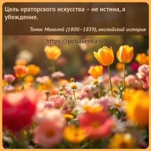 Цель ораторского искусства не истина, а убеждение.