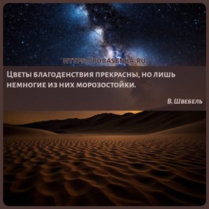 Цветы благоденствия прекрасны, но лишь немногие из них морозостойки.