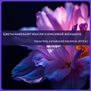 Цветы навевают мысли о красивой женщине.