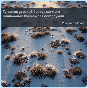 Тупость дураков всегда служит точильным камнем для остроумия.