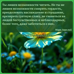 Ты лишен возможности читать. Но ты не лишен возможности смирять гордость,...