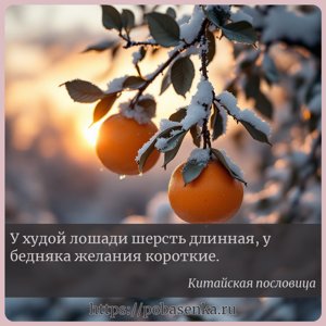 У худой лошади шерсть длинная, у бедняка желания короткие.