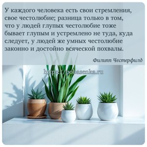 У каждого человека есть свои стремления, свое честолюбие разница только в...