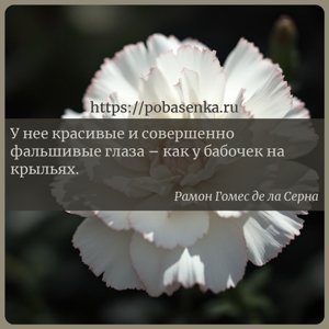 У нее красивые и совершенно фальшивые глаза как у бабочек на крыльях.