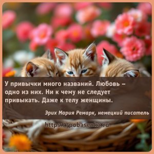 У привычки много названий. Любовь одно из них. Ни к чему не следует...