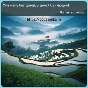 Учи жену без детей, а детей без людей