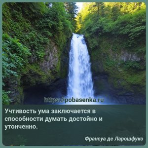 Учтивость ума заключается в способности думать достойно и утонченно.