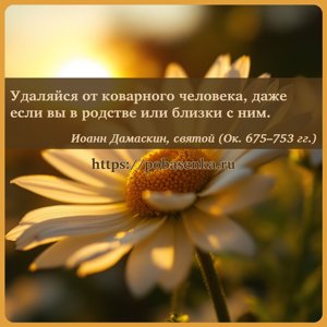 Удаляйся от коварного человека, даже если вы в родстве или близки с ним.