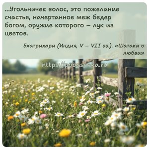 Угольничек волос, это пожелание счастья, начертанное меж бедер богом,...