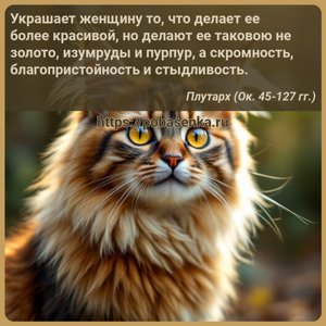 Украшает женщину то, что делает ее более красивой, но делает ее таковою не...