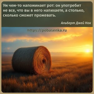 Ум чем то напоминает рот он употребит не все, что вы в него напихаете, а...