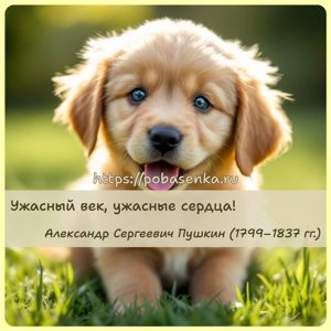 Ужасный век, ужасные сердца