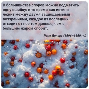В большинстве споров можно подметить одну ошибку в то время как истина...