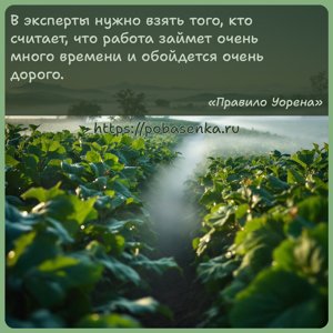 В эксперты нужно взять того, кто считает, что работа займет очень много...