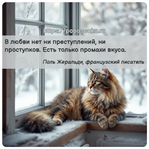 В любви нет ни преступлений, ни проступков. Есть только промахи вкуса.