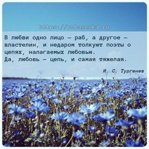 В любви одно лицо раб, а другое властелин, и недаром толкуют поэты о...