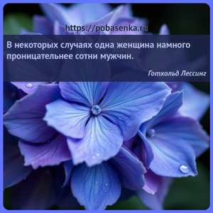 В некоторых случаях одна женщина намного проницательнее сотни мужчин.
