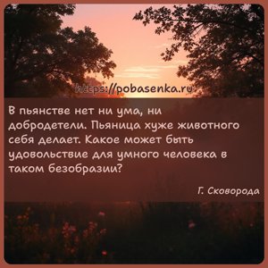 В пьянстве нет ни ума, ни добродетели. Пьяница хуже животного себя делает....