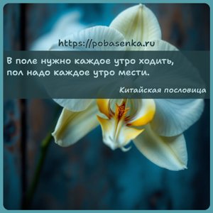 В поле нужно каждое утро ходить, пол надо каждое утро мести.
