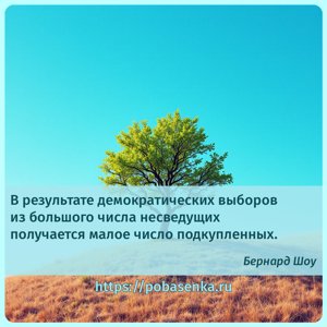 В результате демократических выборов из большого числа несведущих...