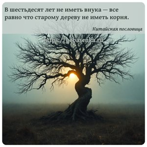 В шестьдесят лет не иметь внука все равно что старому дереву не иметь...
