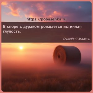 В споре с дураком рождается истинная глупость.