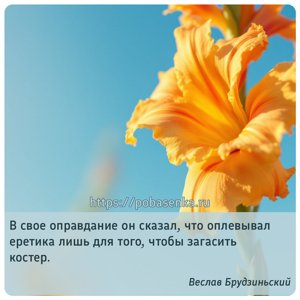 В свое оправдание он сказал, что оплевывал еретика лишь для того, чтобы...