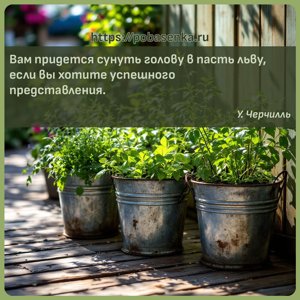 Вам придется сунуть голову в пасть льву, если вы хотите успешного...