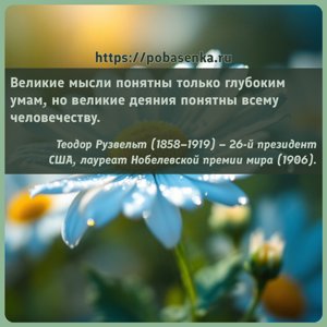 Великие мысли понятны только глубоким умам, но великие деяния понятны...