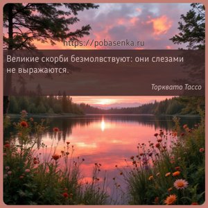 Великие скорби безмолвствуют они слезами не выражаются.