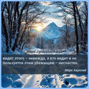 видит этого невежда, а кто видит и не пользуется этим убежищем несчастен.