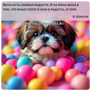 Вино есть символ радости. И не вина вина в том, что иные топят в нем и...