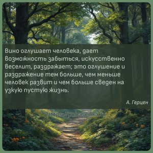 Вино оглушает человека, дает возможность забыться, искусственно веселит,...